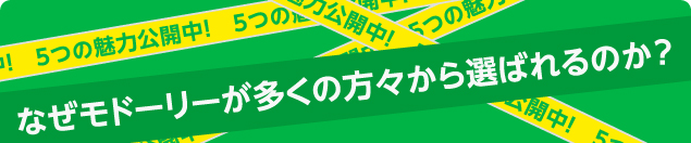 なぜモドーリーが多くの方々から選ばれるのか？